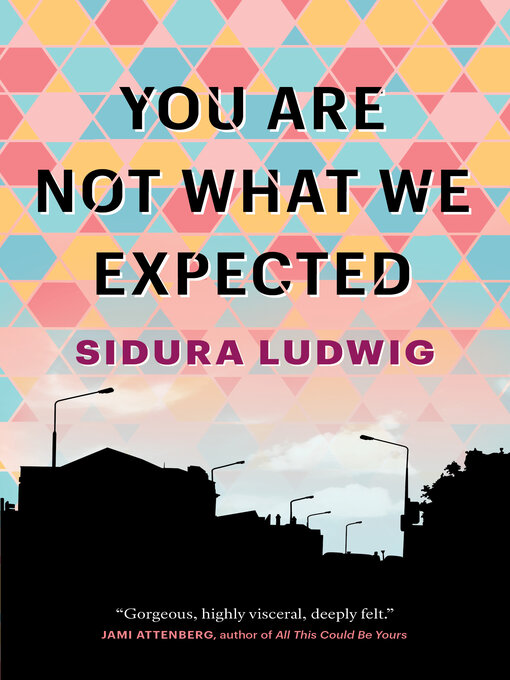 Title details for You Are Not What We Expected by Sidura Ludwig - Available